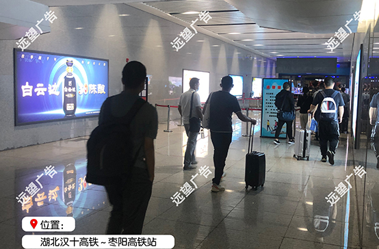 漢十高鐵-棗陽高鐵站