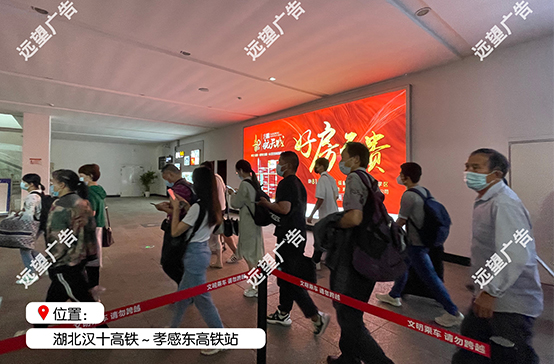 漢十高鐵—孝感東高鐵站